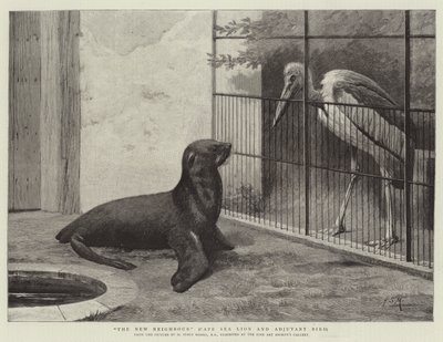 Den nye nabo, Cape Sea Lion og Adjutant Bird af Henry Stacey Marks